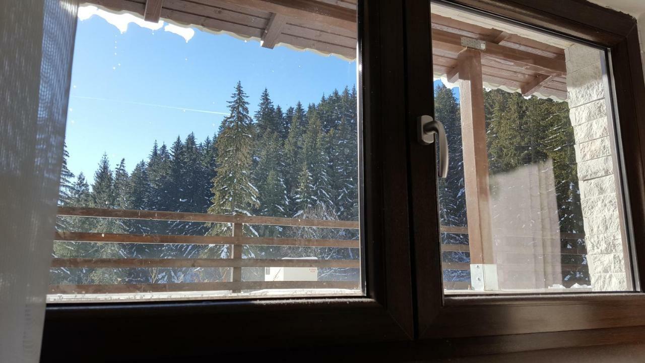 Apartament Andra Poiana Brasov Exteriör bild