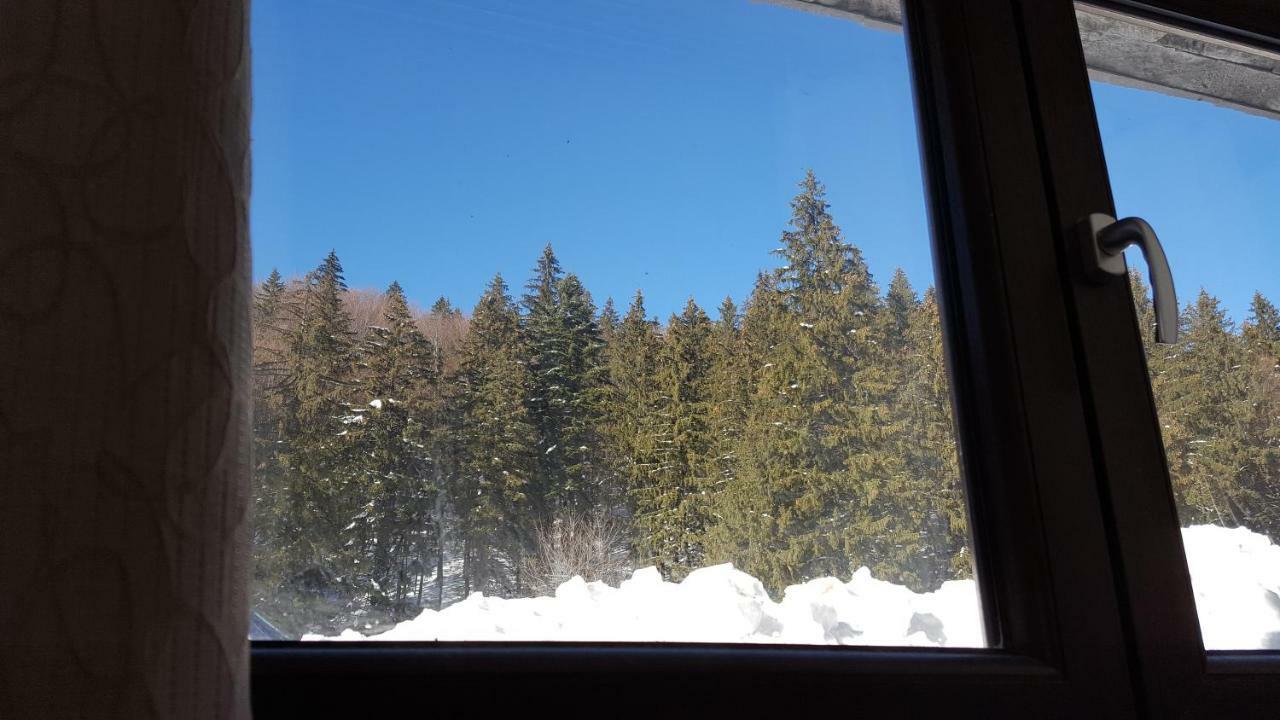 Apartament Andra Poiana Brasov Exteriör bild